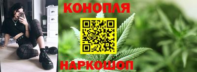 индика Жуковский