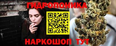 амф Заволжье