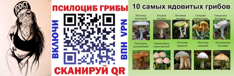 ОМГ ОМГ зеркало  Энгельс  Галлюциногенные грибы Magic Shrooms 