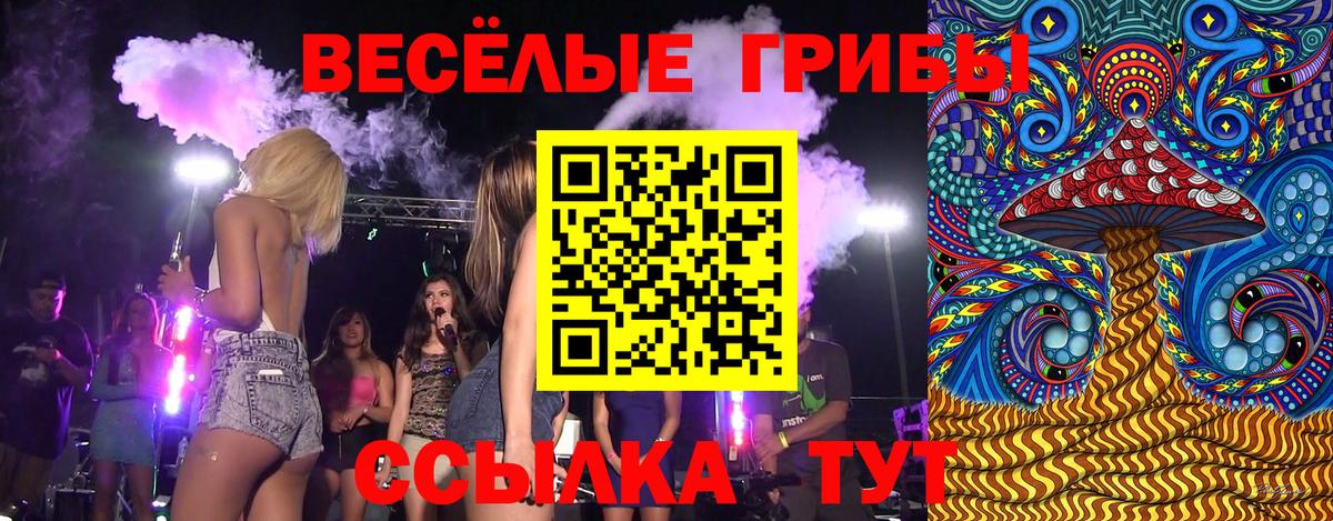 Галлюциногенные грибы мицелий  Вход с VPN  Энгельс 