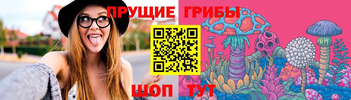 Псилоцибиновые грибы Psilocybe  цены   Энгельс 